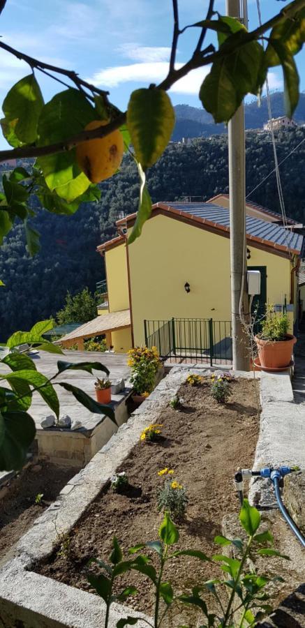 فيلا Casa Ela ليفانتو المظهر الخارجي الصورة